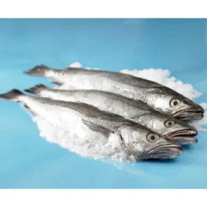 Frozen Hake